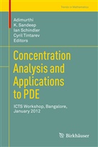 Adimurthi, Adimurthi, Sandeep, K Sandeep, K. Sandeep, Ian Schindler... - Concentration Analysis and Applications to PDE