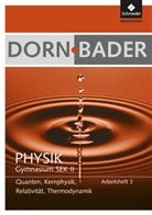 Wolfgang Salm, Wolfgang Philipp - Dorn/Bader Physik, Arbeitshefte SII, Ausgabe 2011 - 3: Dorn / Bader Physik SII - Ausgabe 2011