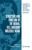 Vladimi Berezin, Vladimir Berezin - Structure and Function of the Neural Cell Adhesion Molecule NCAM