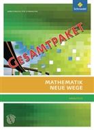 Michael Bostelmann, Dieter Eichhorn, Christian Fehse, Benno Grabinger, Annelies Paulitsch, Kerstin Pauser... - Mathematik Neue Wege SII, Ausgabe 2011: Mathematik Neue Wege SII - Ausgabe 2011 für Berlin, Rheinland-Pfalz, Saarland und Schleswig-Holstein