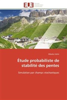 Mbarka Selmi, Selmi-m - Etude probabiliste de stabilite
