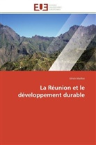 Ulrich Maillot, Maillot-u - La reunion et le developpement