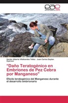 Gaytan Oyarzun, Juan Carlos Gaytan Oyarzun, Hector Albert Villafuentes Tellez, Hector Alberto Villafuentes Tellez - "Daño Teratogénico en Embriones de Pez Cebra por Manganeso"