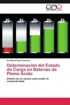 Ana María Gayol González - Determinación del Estado de Carga en Baterías de Plomo Ácido