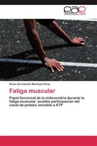 Rocío del Carmen Montoya Pérez - Fatiga muscular