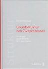Daniel Willisegger - Grundstruktur des Zivilprozesses