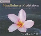 Tara Brach, Tara Brach Phd - Mindfulness Meditation (Audio book)