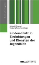 Schone, Reinhold Schone, Wolfgang Tenhaken - Kinderschutz in Einrichtungen und Diensten der Jugendhilfe