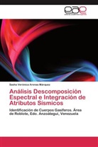 Sasha Verónica Arenas Márquez - Análisis Descomposición Espectral e Integración de Atributos Sísmicos