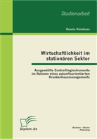 Dennis Kleinhans - Wirtschaftlichkeit im stationären Sektor