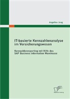 Angelina Jung - IT-basierte Kennzahlenanalyse im Versicherungswesen