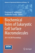 Peruman R Sudhakaran, Perumana R Sudhakaran, Perumana R. Sudhakaran, Surolia, Surolia, Avadhesha Surolia - Biochemical Roles of Eukaryotic Cell Surface Macromolecules