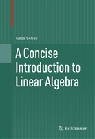 GÃ©za Schay, Géza Schay - A Concise Introduction to Linear Algebra