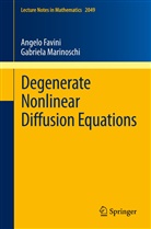 Angel Favini, Angelo Favini, Gabriela Marinoschi - Degenerate Nonlinear Diffusion Equations