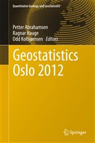 Petter Abrahamsen, Ragna Hauge, Ragnar Hauge, Odd Kolbjørnsen - Geostatistics Oslo 2012