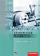 Jörg Bickmann, Jör Fuhrmann, Jörg Fuhrmann, Sabin Krumnau, Sabine Krumnau, Ulrich Simon... - Mechatronik Grundwissen