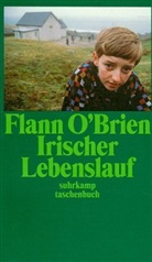 Flann O'Brien - Irischer Lebenslauf