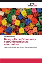 Juan Manuel Balach - Desarrollo de Estructuras con Ordenamientos Jerárquicos