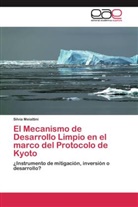 Silvia Meiattini - El Mecanismo de Desarrollo Limpio en el marco del Protocolo de Kyoto