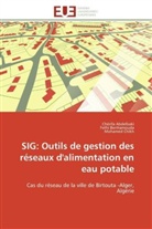 Chérif ABDELBAKI, Chérifa ABDELBAKI, Feth Benhamouda, Fethi Benhamouda, Mohame Chikh, Mohamed Chikh - Sig: outils de gestion des