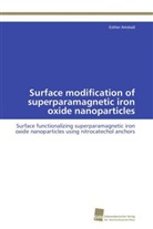 Esther Amstad - Surface modification of superparamagnetic iron oxide nanoparticles