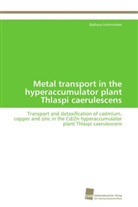 Barbara Leitenmaier - Metal transport in the hyperaccumulator plant Thlaspi caerulescens