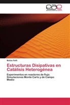 Matías Rafti - Estructuras Disipativas en Catálisis Heterogénea