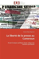 Herman Blaise Ngameni, Ngameni-h - La liberte de la presse au cameroun