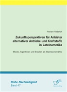 Florian Friederich - Zukunftsperspektiven für Anbieter alternativer Antriebe und Kraftstoffe in Lateinamerika: