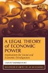 Calixto Filho, Calixto Salomao Filho, Calixto Salomão Filho - Legal Theory of Economic Power