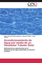 Hebert Bracho, Heberto Bracho, Gó, Cesar Gómez, Suher Carolin Yabroudi Bayram, Suher Carolina Yabroudi Bayram - Acondicionamiento de Agua por medio de un Destilador Tubular Solar
