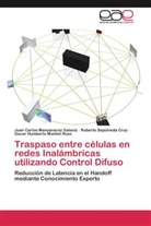 Juan Carlo Manzanarez Galaviz, Juan Carlos Manzanarez Galaviz, Oscar Humberto Montiel Ross, Ro Sepúlveda Cruz, Roberto Sepúlveda Cruz - Traspaso entre células en redes Inalámbricas utilizando Control Difuso