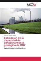 Antonio Hurtado Bezos - Estimación de la capacidad de almacenamiento geológico de CO2