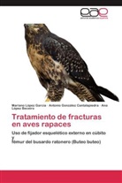 Anto González Cantalapiedra, Antonio González Cantalapiedra, Ana López Beceiro, Marian López García, Mariano López García - Tratamiento de fracturas en aves rapaces
