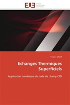 Yassine Cherif, Cherif-y - Echanges thermiques superficiels