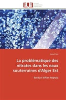 Kamel Zair, Zair-k - La problematique des nitrates
