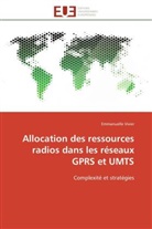 Emmanuelle Vivier, Vivier-e - Allocation des ressources radios