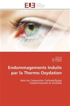 Gigliotti, M Gigliotti, M. Gigliotti, M C Lafarie, M. C. Lafarie, M.C. Lafarie... - Endommagements induits par la
