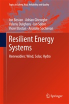 Io Bostan, Ion Bostan, Viorel Bostan, Valeriu Dulgheru, Valeriu e Dulgheru, Adrian Gheorghe... - Resilient Energy Systems