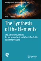 Giora Shaviv - The Synthesis of the Elements