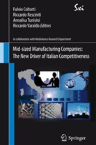 Fulvio Coltorti, Annalisa Tunisini, Fulvio Coltorti, Daniele Dalli, Riccard Resciniti, Riccardo Resciniti... - Mid-sized Manufacturing Companies: The New Driver of Italian Competitiveness