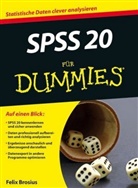 Felix Brosius - SPSS 20 für Dummies