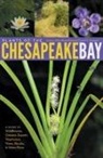 David A. Knepper, David A. (Environmental Scientist Knepper, Knepper David A., Lytton J. Musselman, Lytton John Musselman, Lytton John (Mary Payne Hogan Professor Musselman... - Plants of the Chesapeake Bay