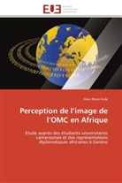 Alain Blaise Ikele, Ikele-a - Perception de l image de l omc en
