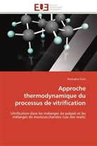 Mostapha Siniti, Siniti-m - Approche thermodynamique du