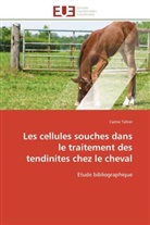 Carine Tahier, Tahier-c - Les cellules souches dans le
