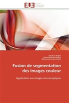 Ismaha Baghli, Ismahan Baghli, Mourtad Benazzouz, Mourtada Benazzouz, Mohamed Chikh, Mohamed A. Chikh... - Fusion de segmentation des images
