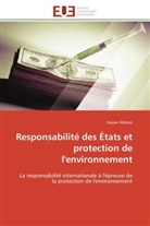 Nasser Abdoul, Abdoul-n - Responsabilite des etats et