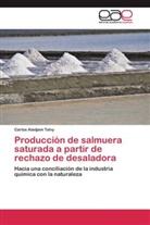 Carlos Aladjem Talvy - Producción de salmuera saturada a partir de rechazo de desaladora
