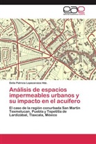 Delia Patricia Lopezaraiza Hdz, Delia Patricia Lopezaraiza Hdz. - Análisis de espacios impermeables urbanos y su impacto en el acuífero